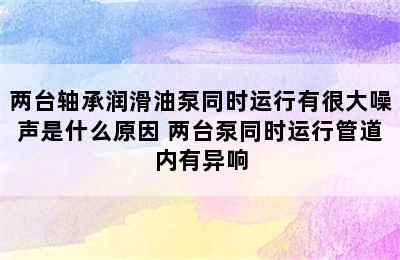 两台轴承润滑油泵同时运行有很大噪声是什么原因 两台泵同时运行管道内有异响